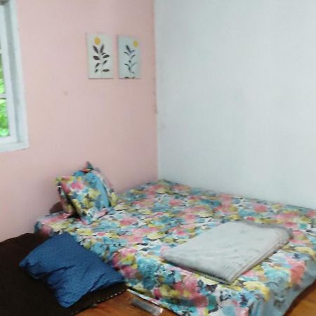 רנטפאו Sugi House Toraja - Penginapan Villa Harian Keluarga -Muat 20 Orang מראה חיצוני תמונה