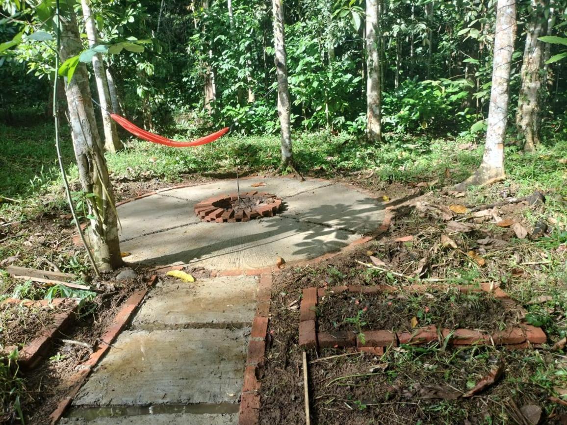 רנטפאו Sugi House Toraja - Penginapan Villa Harian Keluarga -Muat 20 Orang מראה חיצוני תמונה